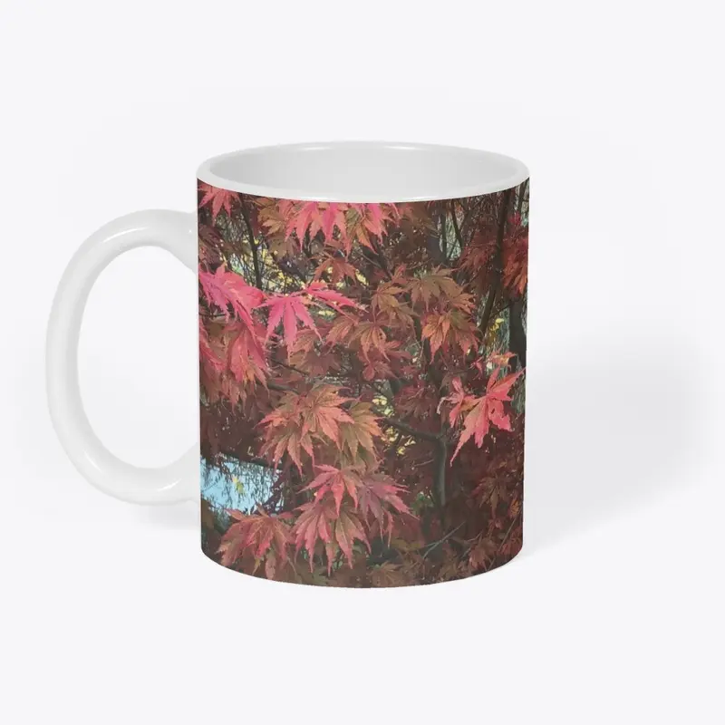 Japanese Red Maple